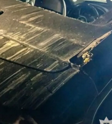 В Полтаве дерево упало на авто с женщиной и ребенком