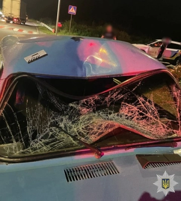 На Вінниччині збита автомобілем літня велосипедистка померла у машині швидкої