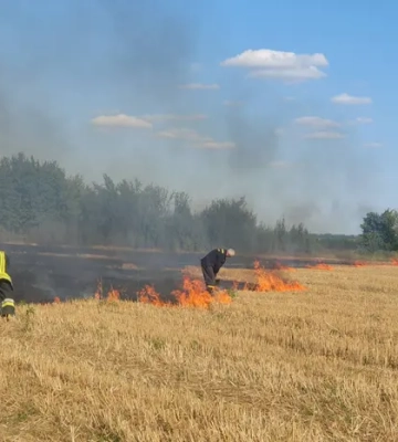 На Вінниччині спалахнули десятки гектарів стерні: екологи нагадали про штрафи