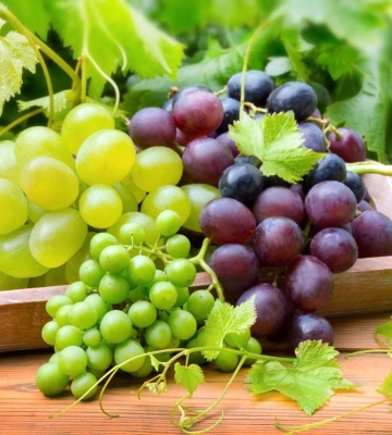 Справжній суперпродукт: дієтологи розповіли, чим корисний виноград для організму