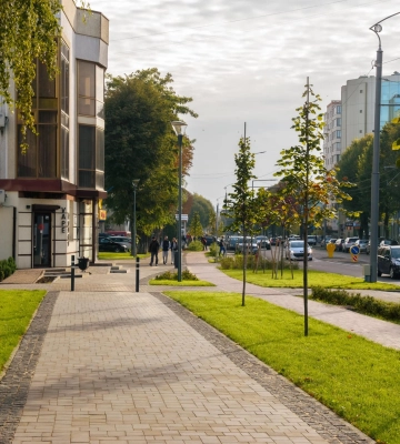 На Волі в Луцьку оброблятимуть кущі й дерева. Просять уникати перебування в зоні робіт