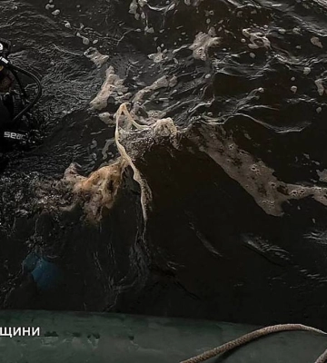 24 серпня та в ніч проти 25 на території Миколаївщини зареєстровано 7 пожеж