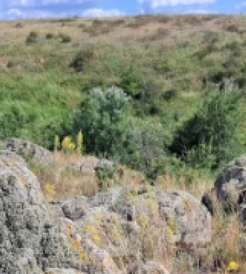 На Кіровоградщині вздовж річок збереглися великі ділянки цілинного степу. ФОТО