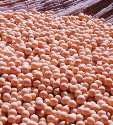 Україна увійшла до ТОП-3 постачальників агропродукції до Туреччини у 2024 році