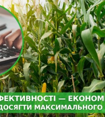 В основі ефективності — економіка: як аграрію досягти максимального результату