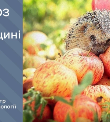 Чи принесе середа дощі на Рівненщину?