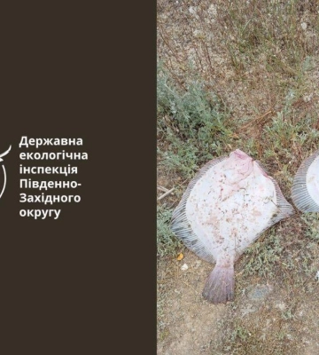 На Одещині суд покарав браконьєра за вилов двох камбал