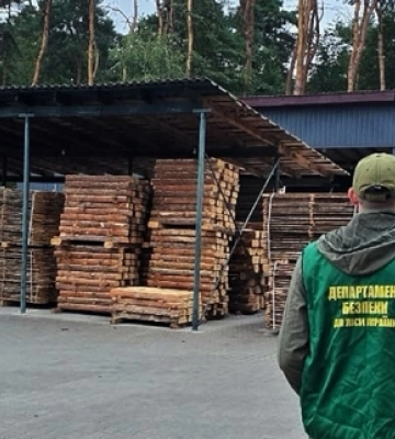 На Волині викрили базу чорних лісорубів