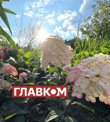 Якою буде погода в останні дні літа. Прогноз синоптикині Діденко