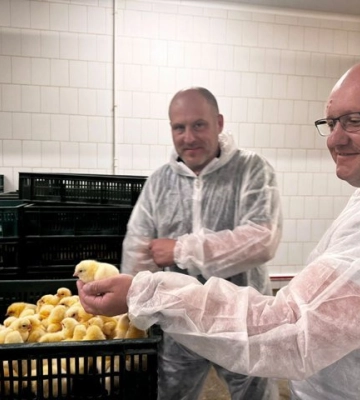 У Рівненському районі вирощують одну з найпопулярніших порід бройлерів у світі
