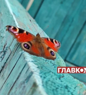 В Україні без опадів: прогноз погоди на 27 серпня