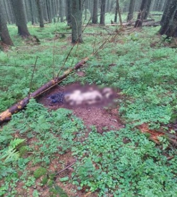 У Карпатах прикордонники виявили два людські скелети. ФОТО