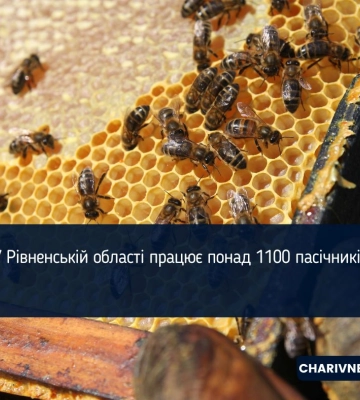 У Рівненській області працює понад 1100 пасічників