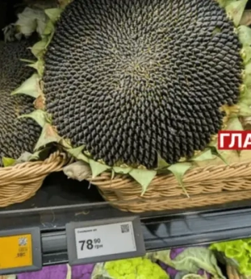 Супермаркети продають соняшники із насінням. Покупці приємно здивовані (фото, відео)
