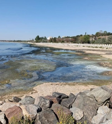 Екологи розповіли, чому почорніла вода на узбережжі моря в Одеському районі