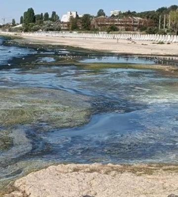 На Одещині перевірили &quot;почорніле море&quot;: інспектори взяли проби води, - ВІДЕО