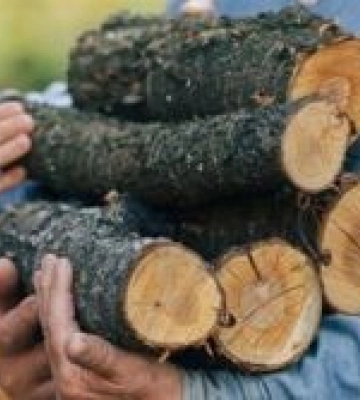 Кіровоградщина готується до опалювального сезону: потрібно 450 тисяч кубометрів дров