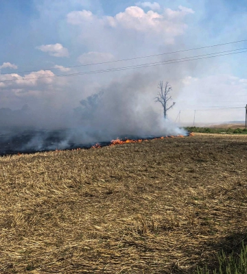 На Уманщині пожежа сухостою перекинулася на стерню в полі