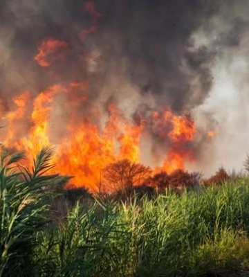 Одеса: внаслідок пожежі на Хаджибейській дорозі в атмосферу потрапили понад шість тисяч тонн забруднювальних речовин