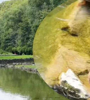Не попсове, але дуже красиве місце для відпочинку біля води у Львові