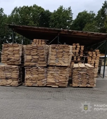 На Волині викрили групу чоловіків, що незаконно рубала ліс у Ківерцівському надлісництві — поліція