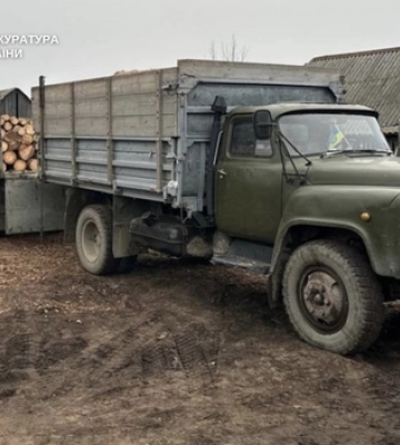 На Волині лісівники, працівник ДСНС та підприємці накрали лісу на 6,4 мільйона 