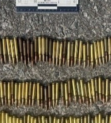На Львівщині чоловік зберігав вдома 100 патронів