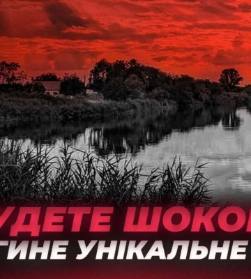 Озеро Куряче у Дніпрі гине: чому екологи та місцеві мешканці б&#039;ють на сполох