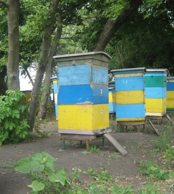 Росіяни чавили харківські вулики гусеницями танків і БТРів