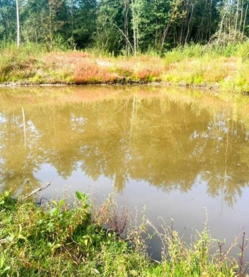 На Рівненщині у водоймі потонула 3-річна дитина