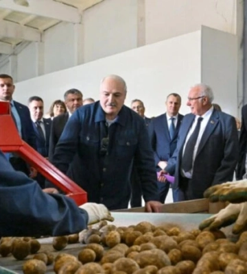 Лукашенко зібрав урожай у подарунок Путіну і Сі Цзіньпіну