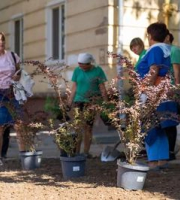 Стихійне сміттєзвалище у Полтаві перетворили на зелену зону