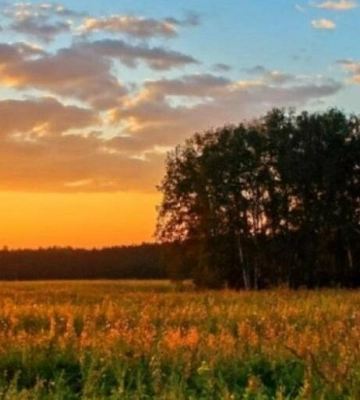 29 серпня на Львівщині очікується мінлива хмарність: прогноз погоди