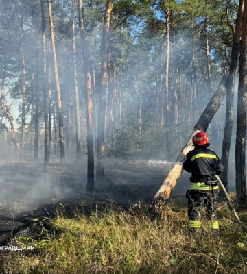На Лісопарковій у Кропивницькому рятувальники загасили пожежу