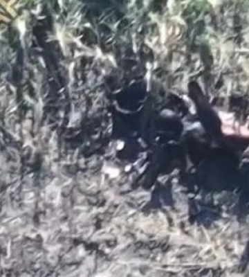 На Донеччині тіло російського загарбника стало поживою для воронів. ВIДЕО