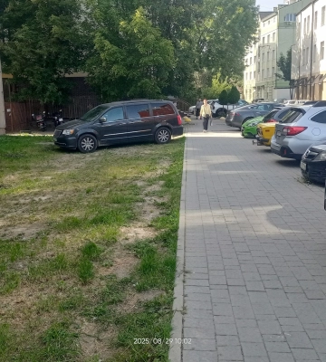 Газон у Львові просять перетворити на паркувальний майданчик