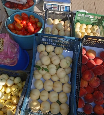 Садівниця з Виноградова продає незвичні білі персики