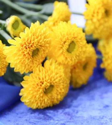 В Ізмаїльській гімназії відбулося відкриття меморіальної дошки старшому сержанту ЗСУ Юрію Сергєєву