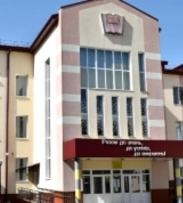 У Луцьку ліцеї №27 перевірили на доступність  для дітей з інвалідністю