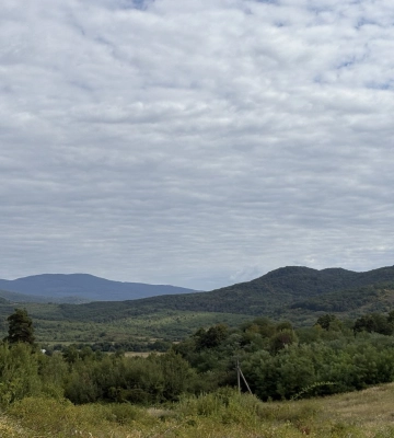 На вихідних прогнозують до 30° тепла на Закарпатті