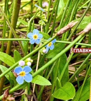 В Україні без опадів: погода на 30 серпня