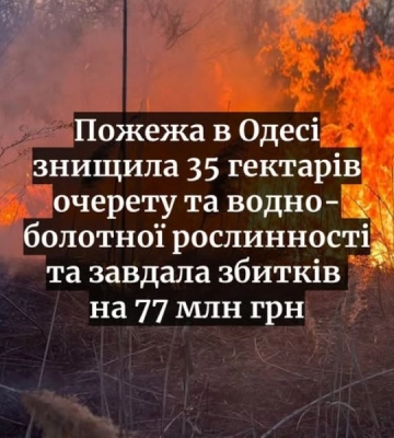 Масштабна пожежа в Одесі завдала державі багатомільйонних збитків