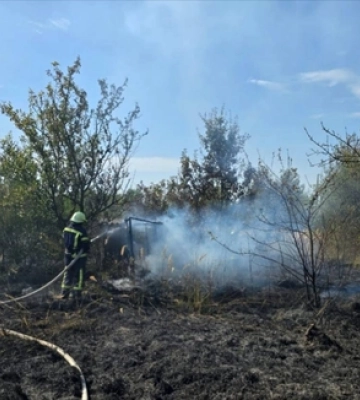 На Волині через спеку горіла суха трава і чагарники