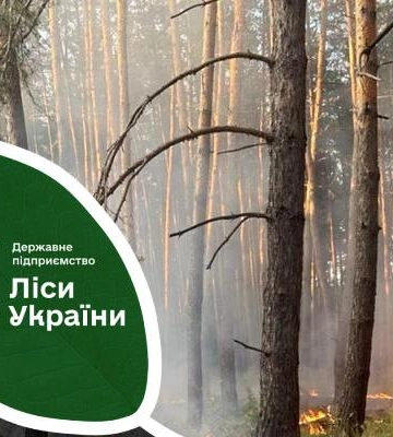 Ворожий дрон підпалив на Рівненщині ліс