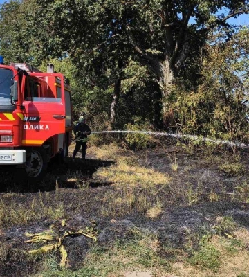 На Волині через спеку горіла суха трава і чагарники
