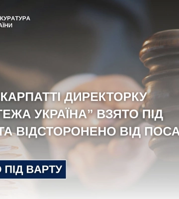 На Прикарпатті директорку АТ «Сегежа Україна» відсторонено від посади та взято під варту
