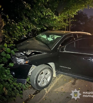 На Львівщині позашляховик під кермуванням жінки не зупинив шлагбаум, але зупинило дерево