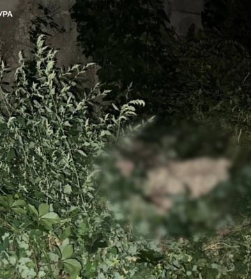 У Харкові собаку жорстоко вбив господар, сусіди намагалися врятувати пса