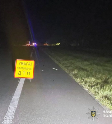 На Житомирщині смертельну ДТП спровокував лось, який раптово вийшов на автотрасу, - поліція. ФОТО