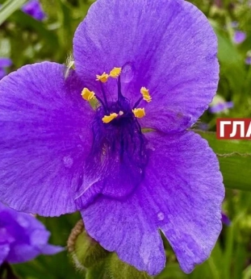 В Україні мінлива хмарність: прогноз погоди на 1 вересня